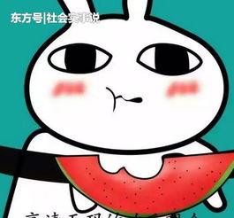 娱乐吃瓜表情图片大全,带你领略网络搞笑瞬间